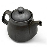Kuro Nunome Matte Black Mino-Yaki Kyusu - Japanese Teapot