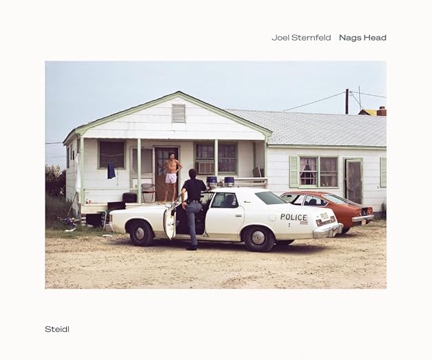 Joel Sternfeld Nag's Head