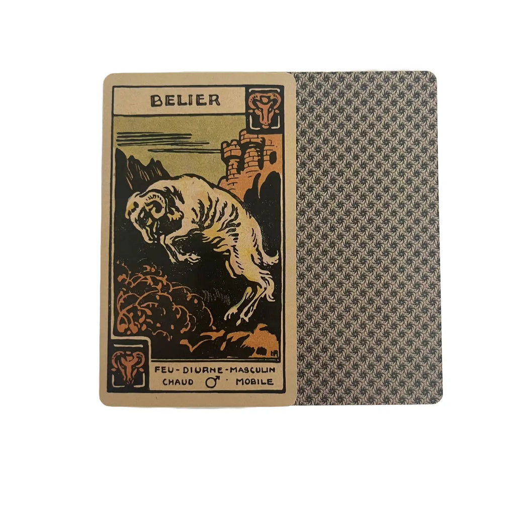 Astrological Tarot Deck with Guidebook