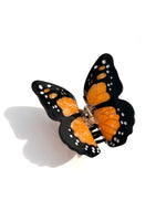 Monarch Butterfly Claw