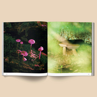 Spores: Magical Mushroom Photography Book