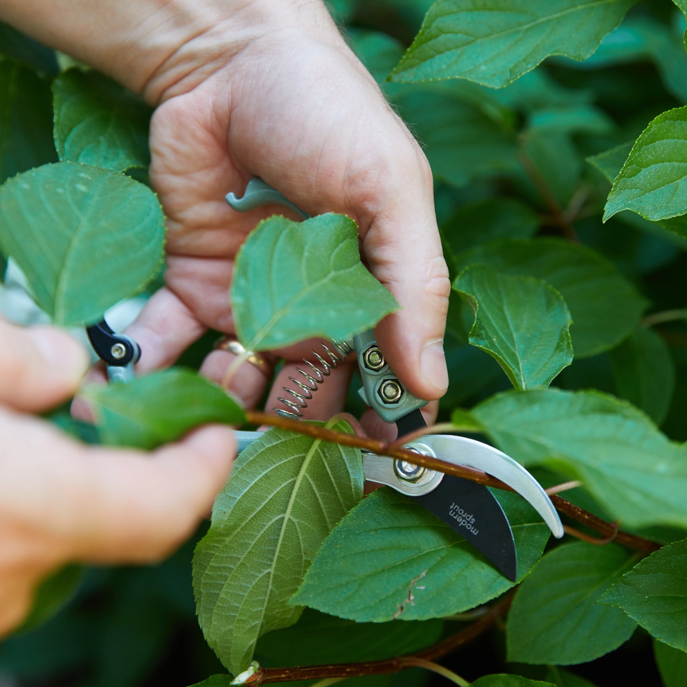 Sage Garden Pruners