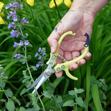 Lavender Garden Shears