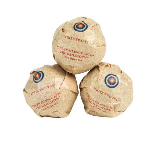 2024 Green Silence After the Hailstorm Minis