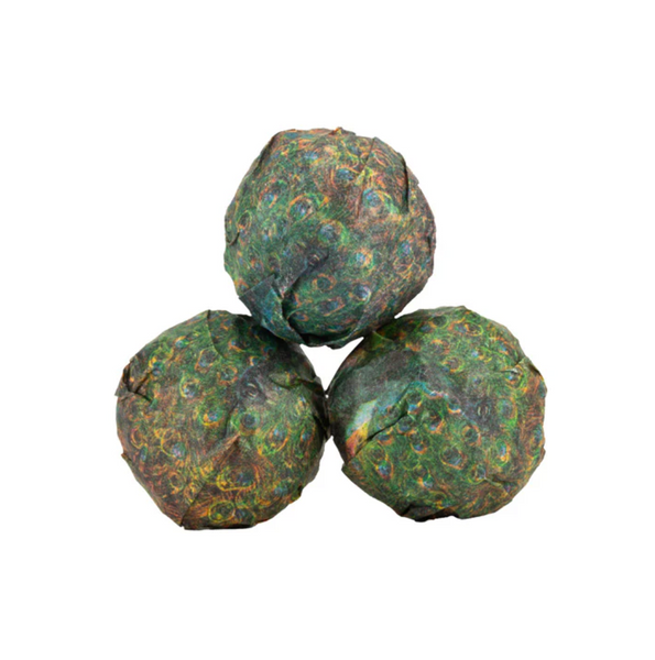 2024 Hypnotrain Minis