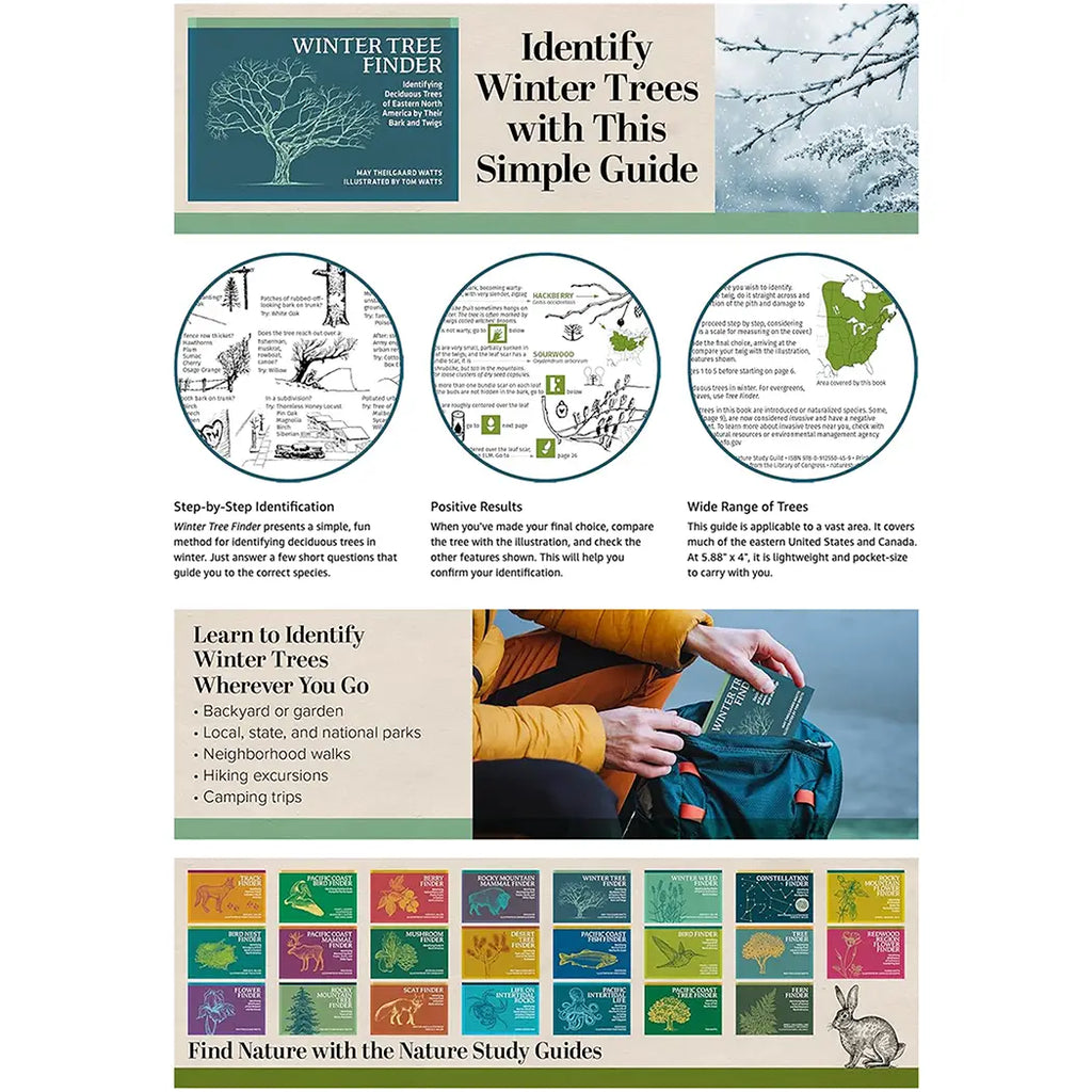Winter Tree Finder - Identifying Deciduous Trees