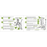 Winter Tree Finder - Identifying Deciduous Trees