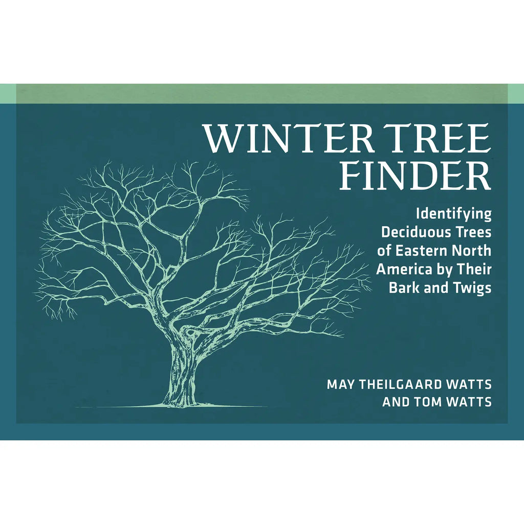 Winter Tree Finder - Identifying Deciduous Trees