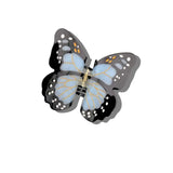 Monarch Butterfly Claw