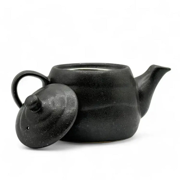 Tokoname-Yaki Kyusu - Japanese Teapot