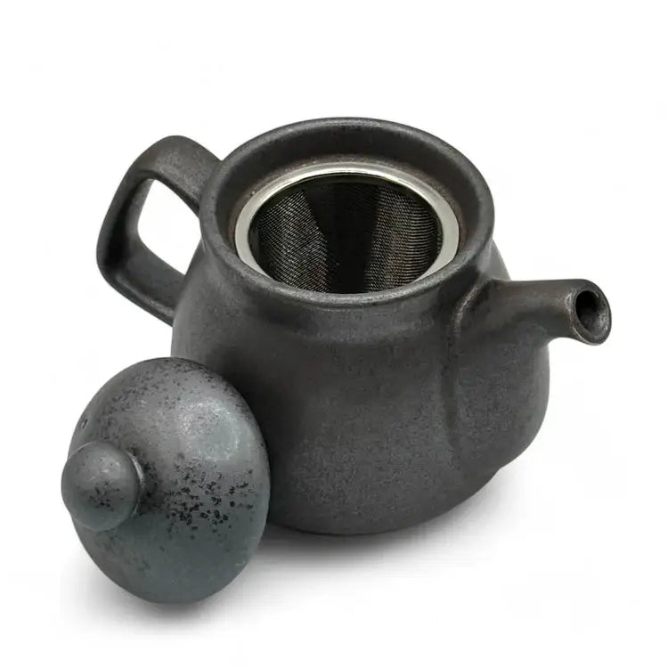 Kuro Nunome Matte Black Mino-Yaki Kyusu - Japanese Teapot