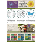 Flower Finder - Identifying Wildflowers