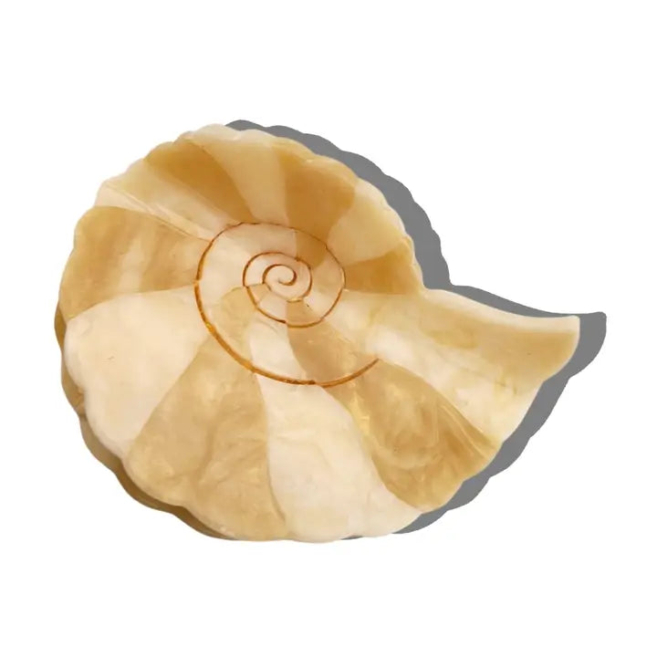 Spiral Shell Clip