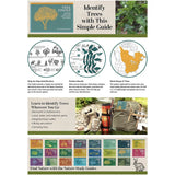 Tree Finder - Identifying Trees by Their Leaves
