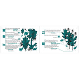 Tree Finder - Identifying Trees by Their Leaves
