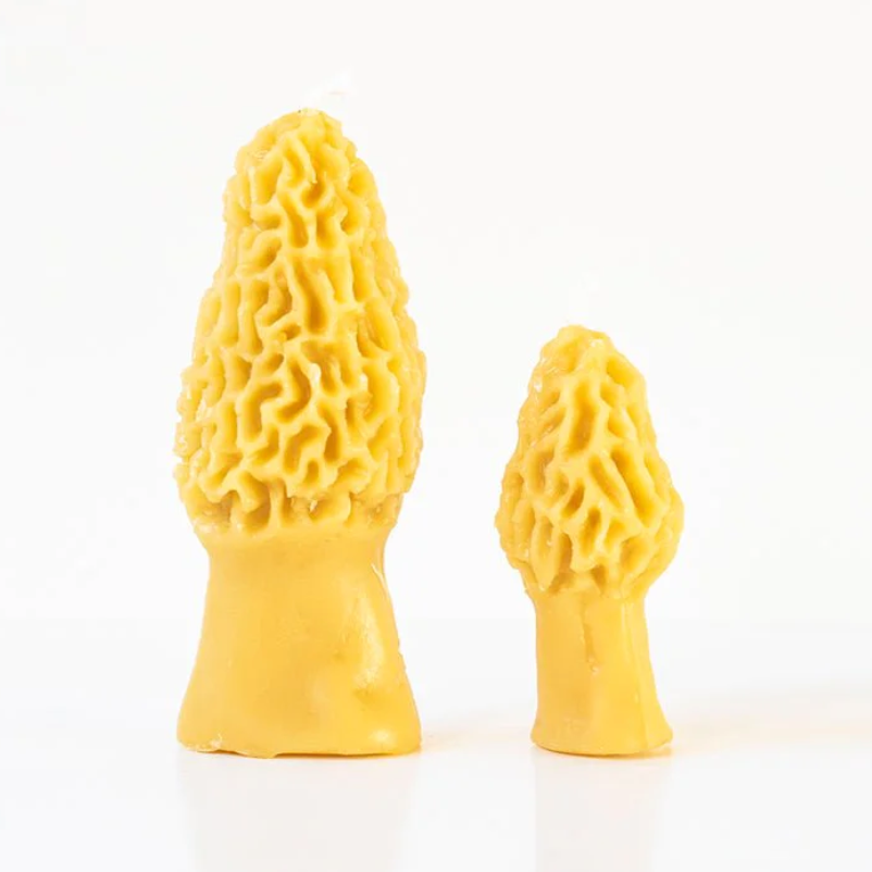 Morel Beeswax Candles