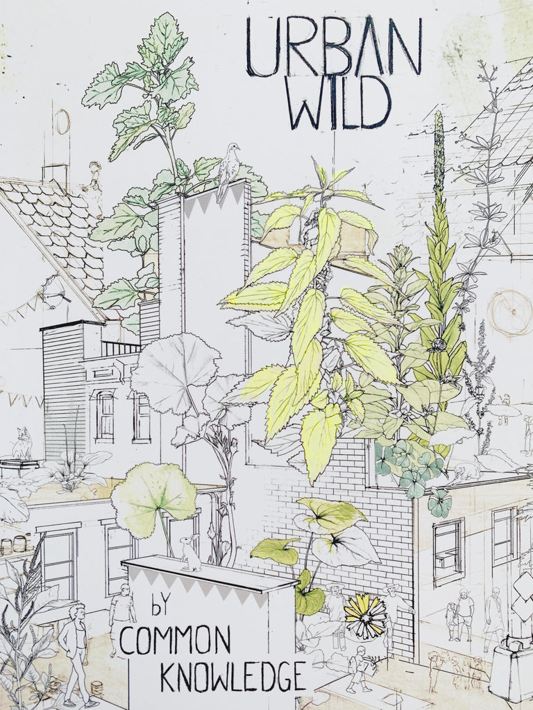 Urban Wild Coloring Book